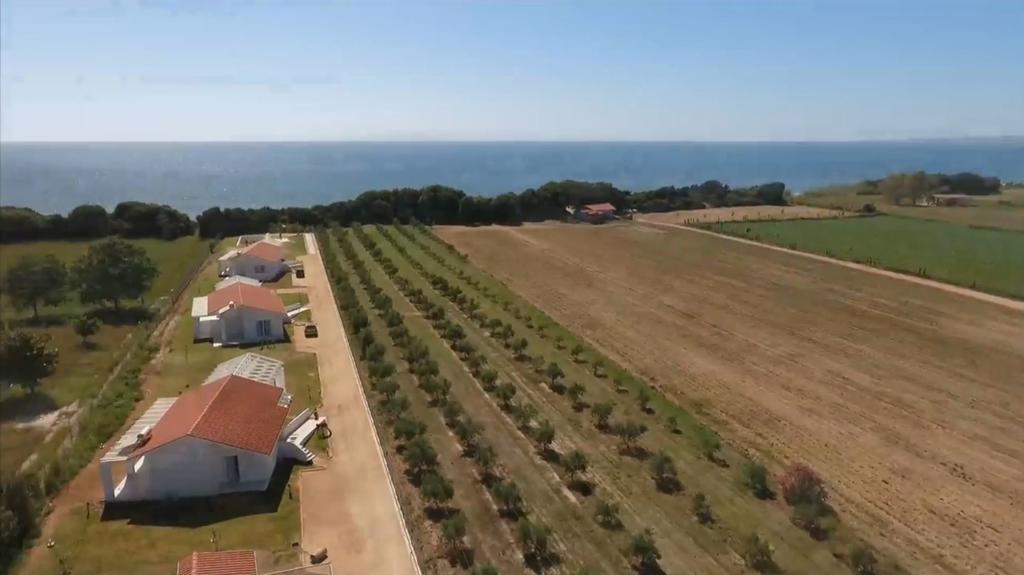 Villa White Douneika (Amaliada)