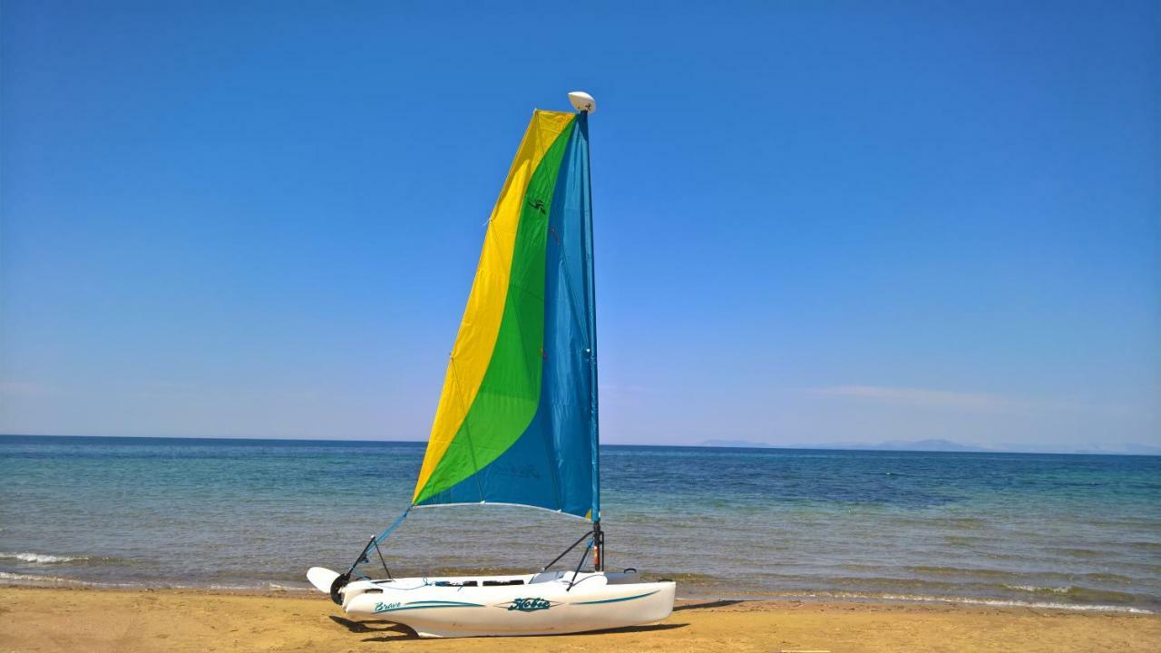 White * Douneika (Amaliada)